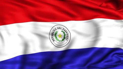 Realistic Paraguay National Flag Waving Loop