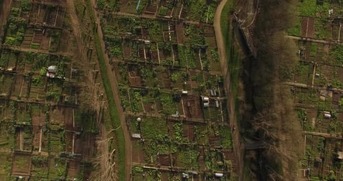 Flying Over Vegetable Farm