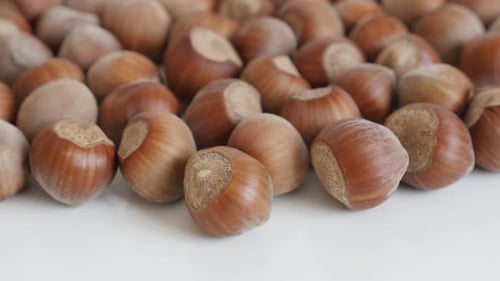 Corylus avellana species of nuts close-up 4K 2160p 30fps UltraHD tilting footage - Whole hazelnuts o