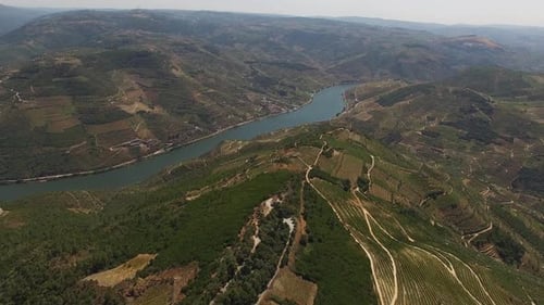 Hügel und Fluss des Douro-Tals