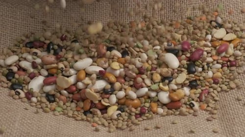 Dry Legumes and Beans Falling on Burlap