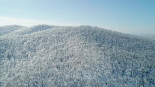 Paysage de montagne d'hiver aérien d'une forêt gelée avec des arbres couverts de neige et de glace sur un ensoleillé