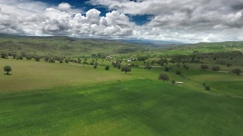 Little Village Houses Surrounded by Green Meadows and Low Hills in Standard Soft Geography