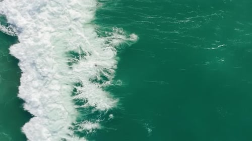 Sportive Surfer Swimming in Ocean