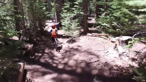 A boy rides his mountain bike on a singletrack dirt trail in the woods.