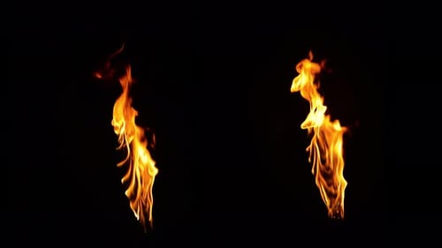 Dynamic Fire Flames Dancing on Black Background