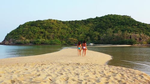 Beautiful ladies sunbathing on relaxing sea view beach voyage by blue lagoon and white sandy backgro