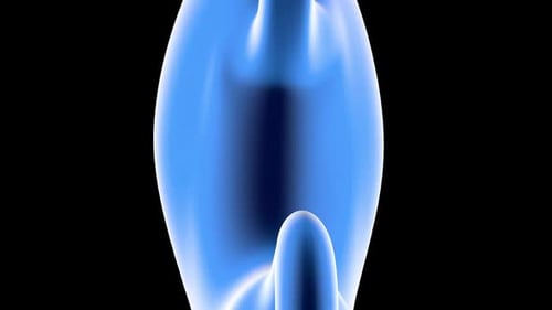 Anatomy visualisation of a human stomach