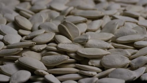 Cinematic, rotating shot of pumpking seeds - PUMPKIN SEEDS 037