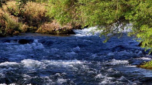 Cascada en la naturaleza salvaje 80