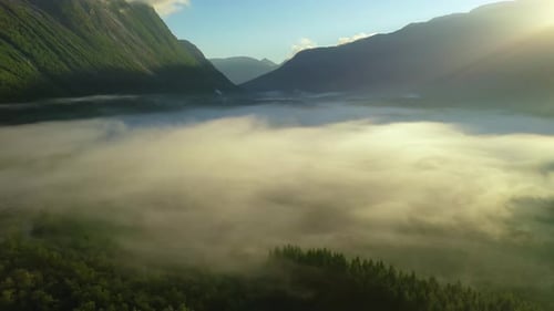 Morning Mist Over the Valley Among the Mountains in the Sunlight