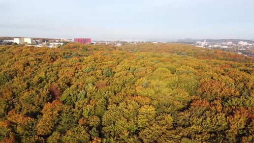 Aerial view on autumn park in european city
