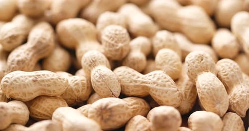 Close-up of Peanuts in Shells Piled