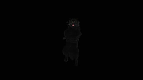 3D Animated Black Panther Roaring on Hind Legs