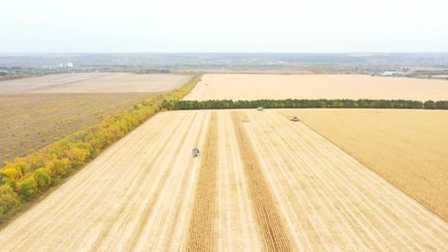 Aerial Shot of Farmland During Harvesting Process. View From High To Agricultural Machinery