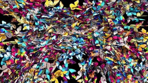 Colorful Butterfly Swirl Animated Transition