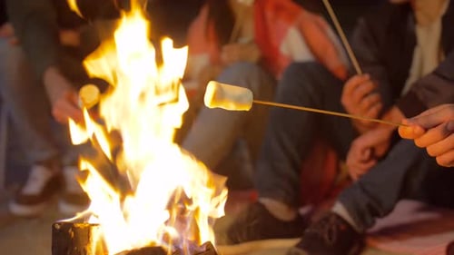 Friends Roasting Marshmallow on Camp Fire on Beach