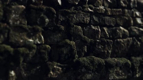 Textured Mossy Stone Wall Slow Pan Background Loop
