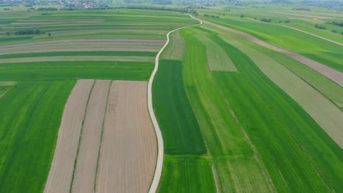 Dirt Road Between Fields