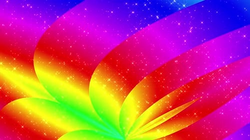 4k Rainbow Flower