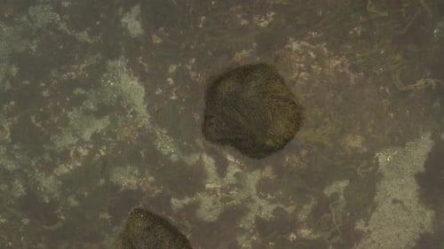 Ascending top down aerial over coastal shoreline sea shore