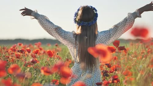 Ukrainian Girl Walking Through a Red Poppy Field
