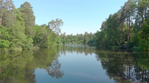 River In Pine Forest Over Water