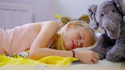 Child Sleeping Peacefully with Stuffed Animal in Bedroom