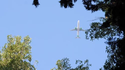 Plane Flies Over Trees in Clear Blue Sky