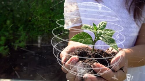 Woman Holds Plant, Environment Graphics, Outdoors