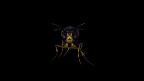 Wasp Walk Front