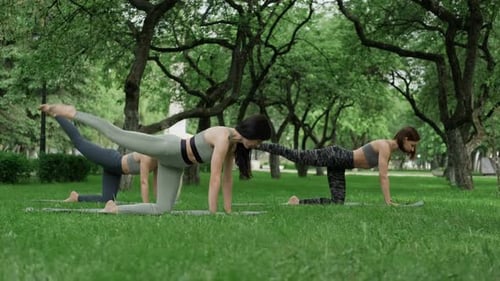 Fitness Women Practicing in Park