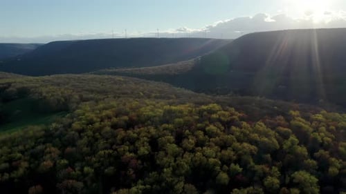Smooth cinematic pan up to green forest at sunset with wind turbines on far away mountains