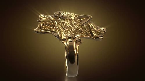 Ring mit Rotationsschlaufe