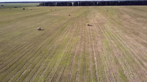 Flycam Descends To Field with Packaged Hay Rolls Near Road