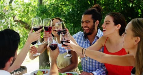Friends Toasting Wine Glasses at Outdoor Gathering
