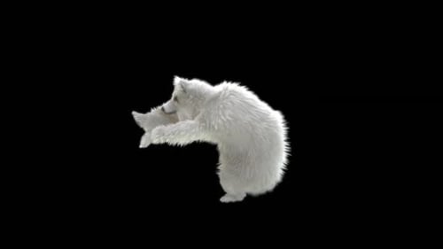 177 Bear Standing Magic Attack HD