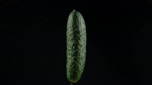 Cucumber close up texture