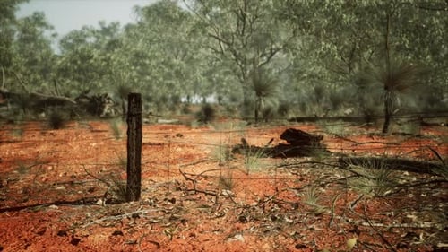 Animated Wire Fence in Dry Outback Landscape