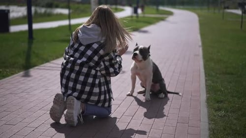 Back View of Young Woman Throwing Ball for Dog in Slow Motion Clapping Sitting on Sidewalk in