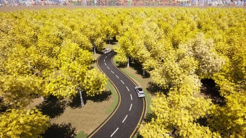 Gelbe Luftfahrzeuge Fahren Wald Straße Herbst Waldlandschaft Herbst