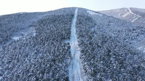 Snow Winter Forest Road Aerial Drone