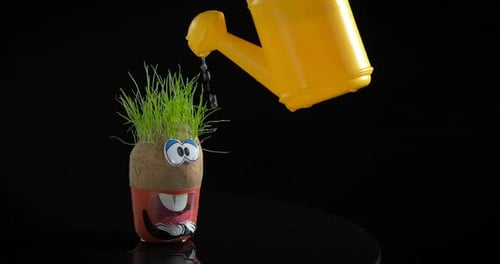 Watering Cartoon Plant Against Dark Backdrop