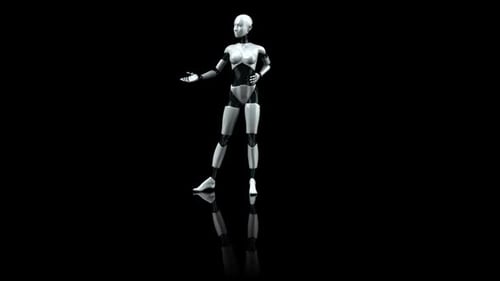 Woman robot