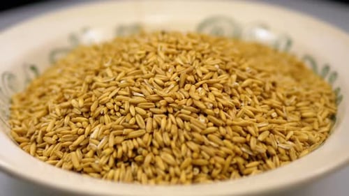 Grains of Raw Oat Groats Rotate on a White Plate Close-up