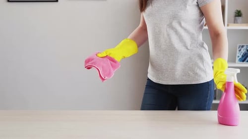 Woman Cleaning Table in Home with Spray and Cloth
