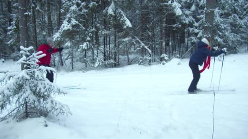 Skiers Glide Quickly on the Track in the Forest