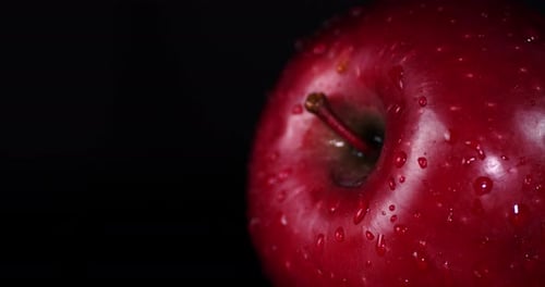 Close Up of a Red Apple with Water Droplets