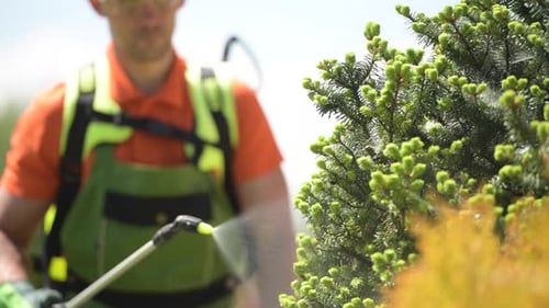Insecticide Garden Trees