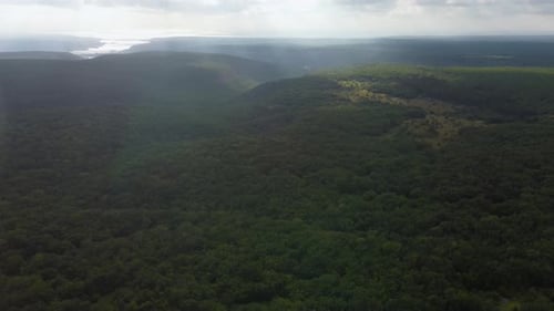 Valley Covered with Deciduous Forest Aerial View